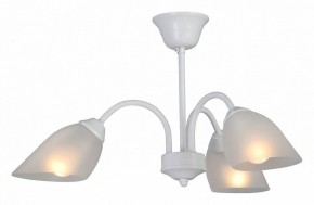Люстра на штанге Vitaluce V3336 V3336-0/3PL в Нытве - nytva.mebel24.online | фото