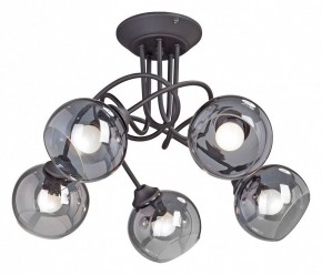 Люстра на штанге Vitaluce  V4309-1/5PL в Нытве - nytva.mebel24.online | фото
