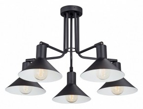 Люстра на штанге Vitaluce V4809 V4809-1/5PL в Нытве - nytva.mebel24.online | фото