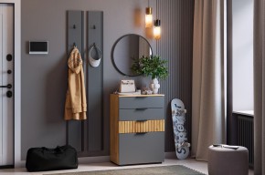 МЕБЕЛЬСОН К21 Прихожая в Нытве - nytva.mebel24.online | фото 2