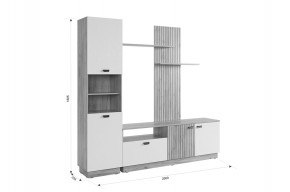 МОДИ К1 Гостиная (белое дерево) в Нытве - nytva.mebel24.online | фото 2