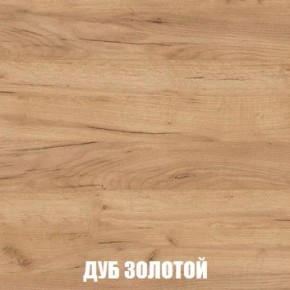МСП-1 Шкаф 2-х створчатый (Дуб Золотой/Камень темный) в Нытве - nytva.mebel24.online | фото 4