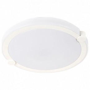 Накладной светильник Arte Lamp Biscotti A2679PL-72WH в Нытве - nytva.mebel24.online | фото
