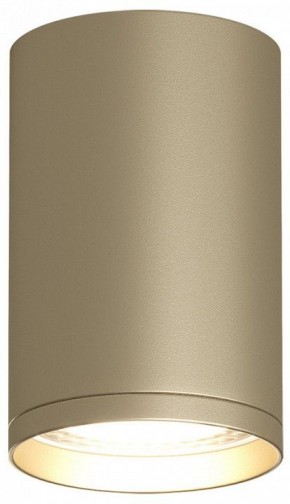 Накладной светильник Denkirs TUBE DK2050-SG в Нытве - nytva.mebel24.online | фото 2