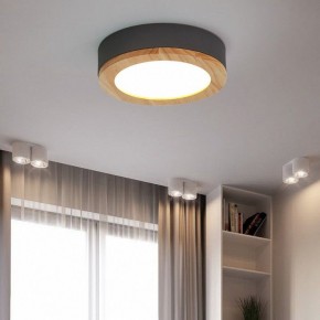 Накладной светильник Imperiumloft Wudda Серый WUDDA01 в Нытве - nytva.mebel24.online | фото 4