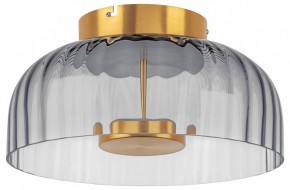 Накладной светильник Lightstar Celesta 809061 в Нытве - nytva.mebel24.online | фото