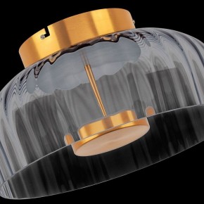 Накладной светильник Lightstar Celesta 809061 в Нытве - nytva.mebel24.online | фото 10