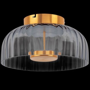 Накладной светильник Lightstar Celesta 809061 в Нытве - nytva.mebel24.online | фото 3