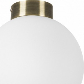 Накладной светильник Lightstar Globo 812021 в Нытве - nytva.mebel24.online | фото 3