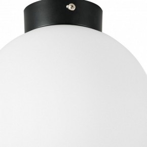 Накладной светильник Lightstar Globo 812027 в Нытве - nytva.mebel24.online | фото 2
