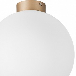 Накладной светильник Lightstar Globo 812033 в Нытве - nytva.mebel24.online | фото 2