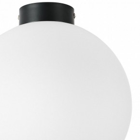 Накладной светильник Lightstar Globo 812037 в Нытве - nytva.mebel24.online | фото 3