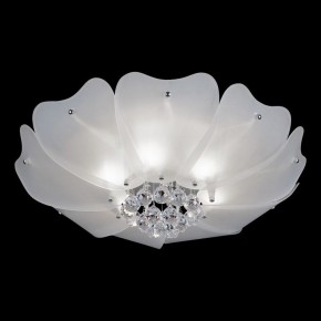Накладной светильник Lightstar Lobo 804020 в Нытве - nytva.mebel24.online | фото 2