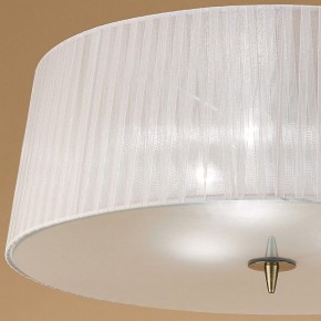 Накладной светильник Mantra Loewe 4740 в Нытве - nytva.mebel24.online | фото 3