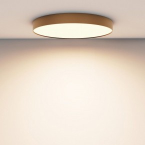 Накладной светильник Maytoni Zon C032CL-90W3K-RD-MG в Нытве - nytva.mebel24.online | фото 4