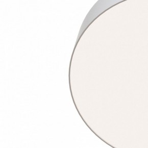 Накладной светильник Maytoni Zon C032CL-L96W4K в Нытве - nytva.mebel24.online | фото