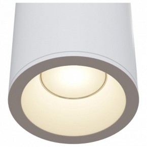 Накладной светильник Maytoni Zoom C029CL-01W в Нытве - nytva.mebel24.online | фото 4