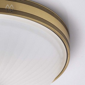Накладной светильник MW-Light Ангел 12 295013402 в Нытве - nytva.mebel24.online | фото 7