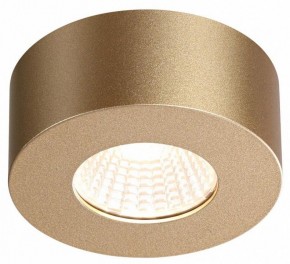 Накладной светильник Odeon Light Bene 4284/7CL в Нытве - nytva.mebel24.online | фото 4