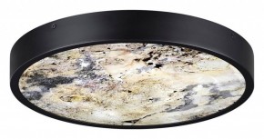 Накладной светильник Odeon Light Bergi 5064/24L в Нытве - nytva.mebel24.online | фото 4