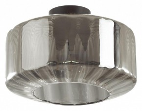 Накладной светильник Odeon Light Binga 4746/1C в Нытве - nytva.mebel24.online | фото 2