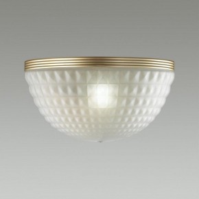 Накладной светильник Odeon Light Malaga 4936/1W в Нытве - nytva.mebel24.online | фото 2
