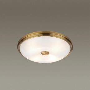 Накладной светильник Odeon Light Pelow 4956/4 в Нытве - nytva.mebel24.online | фото 2