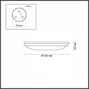 Накладной светильник Odeon Light Pelow 4956/4 в Нытве - nytva.mebel24.online | фото 3
