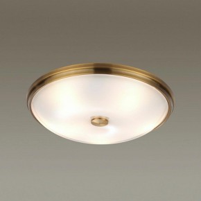 Накладной светильник Odeon Light Pelow 4956/5 в Нытве - nytva.mebel24.online | фото 2
