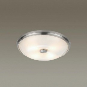 Накладной светильник Odeon Light Pelow 4957/4 в Нытве - nytva.mebel24.online | фото 2