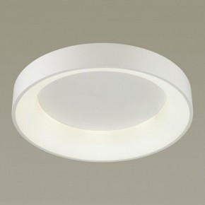 Накладной светильник Odeon Light Sole 4062/50CL в Нытве - nytva.mebel24.online | фото 2