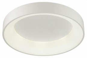 Накладной светильник Odeon Light Sole 4062/50CL в Нытве - nytva.mebel24.online | фото 3