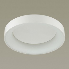 Накладной светильник Odeon Light Sole 4062/50CL в Нытве - nytva.mebel24.online | фото 4