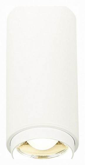 Накладной светильник ST-Luce Zoom ST600.542.10 в Нытве - nytva.mebel24.online | фото 2