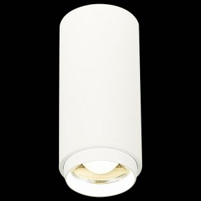 Накладной светильник ST-Luce Zoom ST600.542.10 в Нытве - nytva.mebel24.online | фото 3