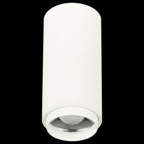 Накладной светильник ST-Luce Zoom ST600.542.10 в Нытве - nytva.mebel24.online | фото 4