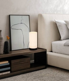 Настольная лампа декоративная Eglo Feniglia 900861 в Нытве - nytva.mebel24.online | фото 2