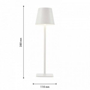 Настольная лампа декоративная F-promo Pyari 4614-1T в Нытве - nytva.mebel24.online | фото 3