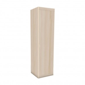 НИКА Н8 Шкаф для одежды и белья в Нытве - nytva.mebel24.online | фото