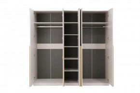 НИКОЛЬ 25 Шкаф 5-ти створчатый в Нытве - nytva.mebel24.online | фото 3