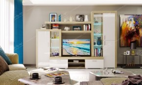 ОРЛАНДО Гостиная набор № 1 в Нытве - nytva.mebel24.online | фото 4