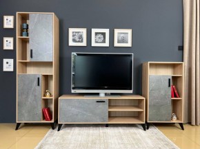 ОСКАР TRIO Гостиная (дуб золотой/каспий темный) в Нытве - nytva.mebel24.online | фото 2