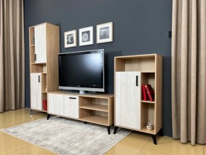 ОСКАР TRIO Гостиная (дуб золотой/сосна белая loft) в Нытве - nytva.mebel24.online | фото 3