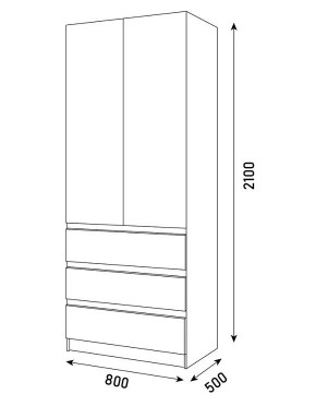 ПАРУС Шкаф 2-х ств. 800 в Нытве - nytva.mebel24.online | фото 3