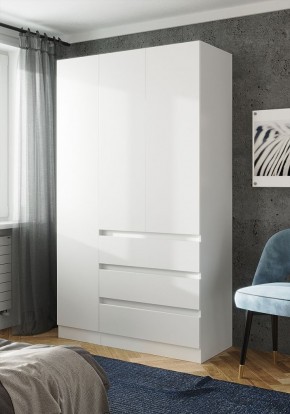 ПАРУС Шкаф 3-х ств. 1200 в Нытве - nytva.mebel24.online | фото