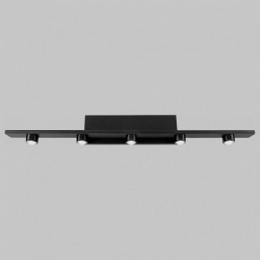 Подсветка для картины Imex VINCENT IL.0040.0050-5 SBK в Нытве - nytva.mebel24.online | фото