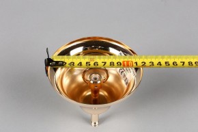 Подвесная люстра Aployt Daniele APL.701.03.12 в Нытве - nytva.mebel24.online | фото 6