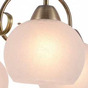 Подвесная люстра Arte Lamp Margo A9317LM-5AB в Нытве - nytva.mebel24.online | фото 2