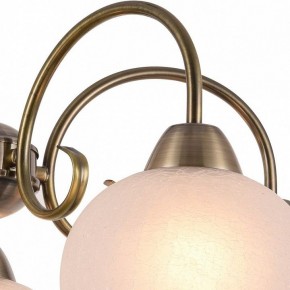 Подвесная люстра Arte Lamp Margo A9317LM-5AB в Нытве - nytva.mebel24.online | фото 3
