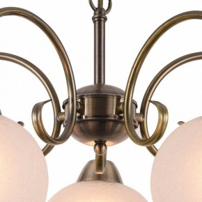 Подвесная люстра Arte Lamp Margo A9317LM-5AB в Нытве - nytva.mebel24.online | фото 4